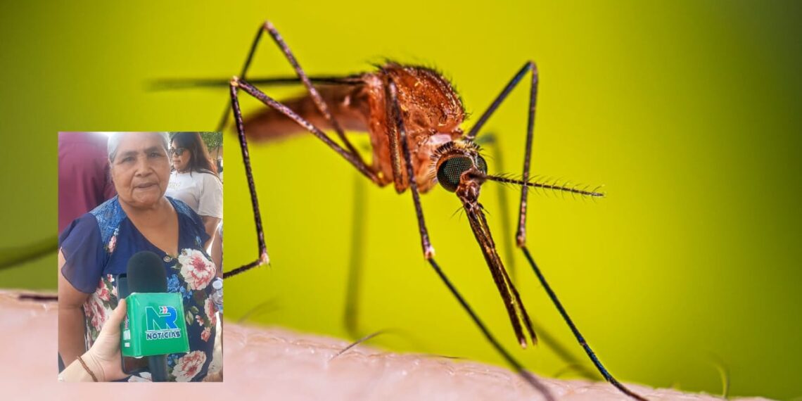 Mosquitos fuera: Vecinos del sector Rubén Jaramillo solicitan brigada de fumigación – NR | NOTICIAS