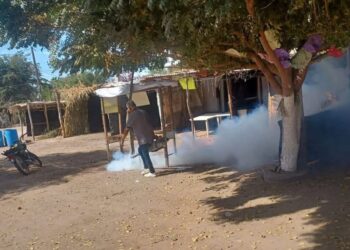 Calendario semanal de fumigación: Estas son las zonas que recibirán el servicio