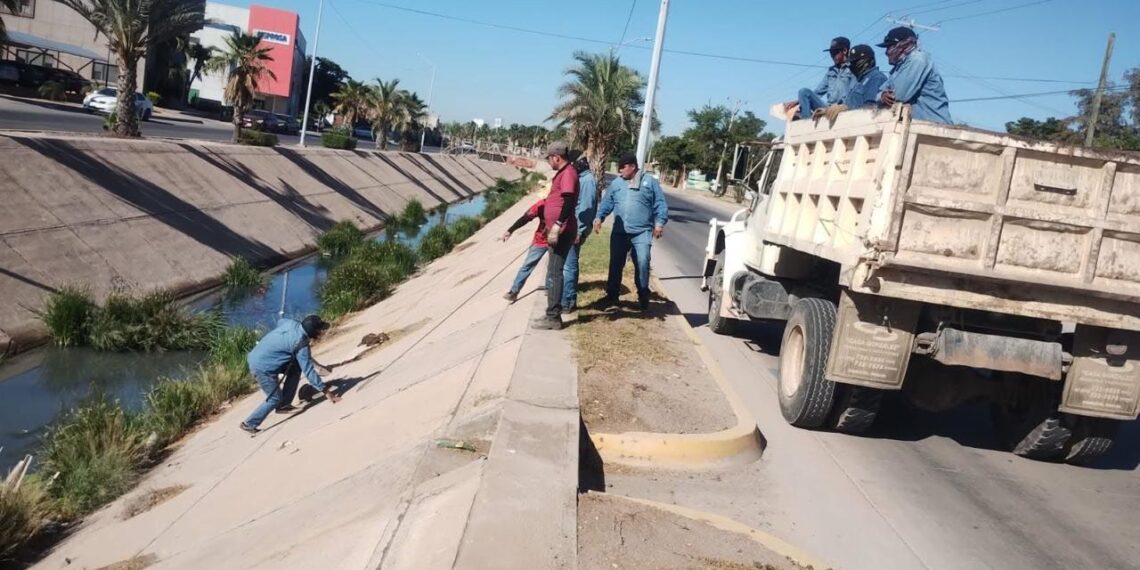 Avanza programa de limpieza de infraestructura hidráulica para prevenir inundaciones