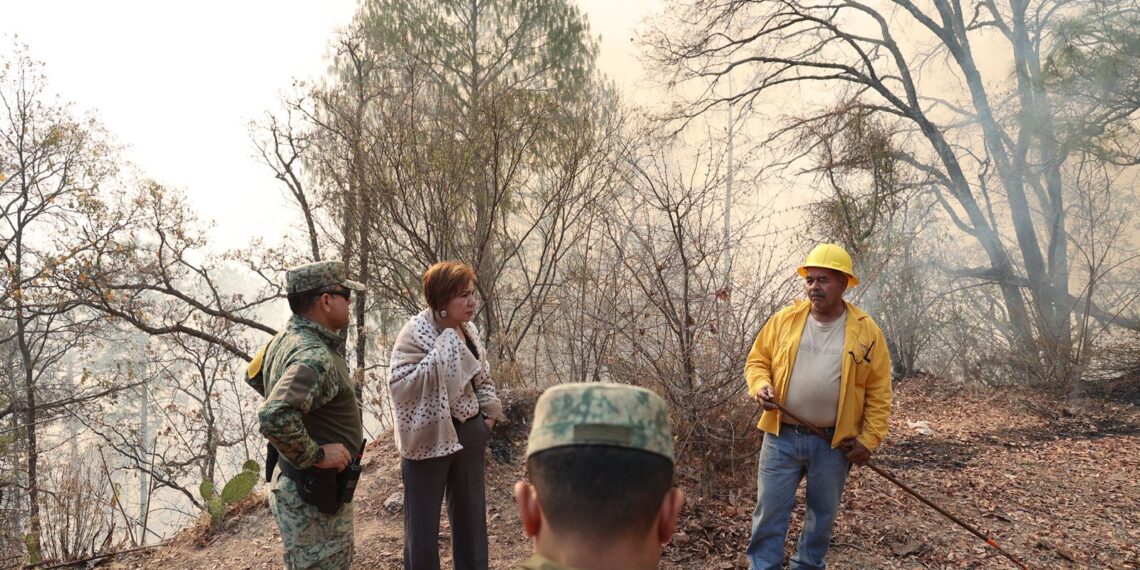 El General Porfirio Fuentes junto a sus equipos acude personalmente a reforzar las brigadas contra el incendio forestal en El Palmito: SEBIDES