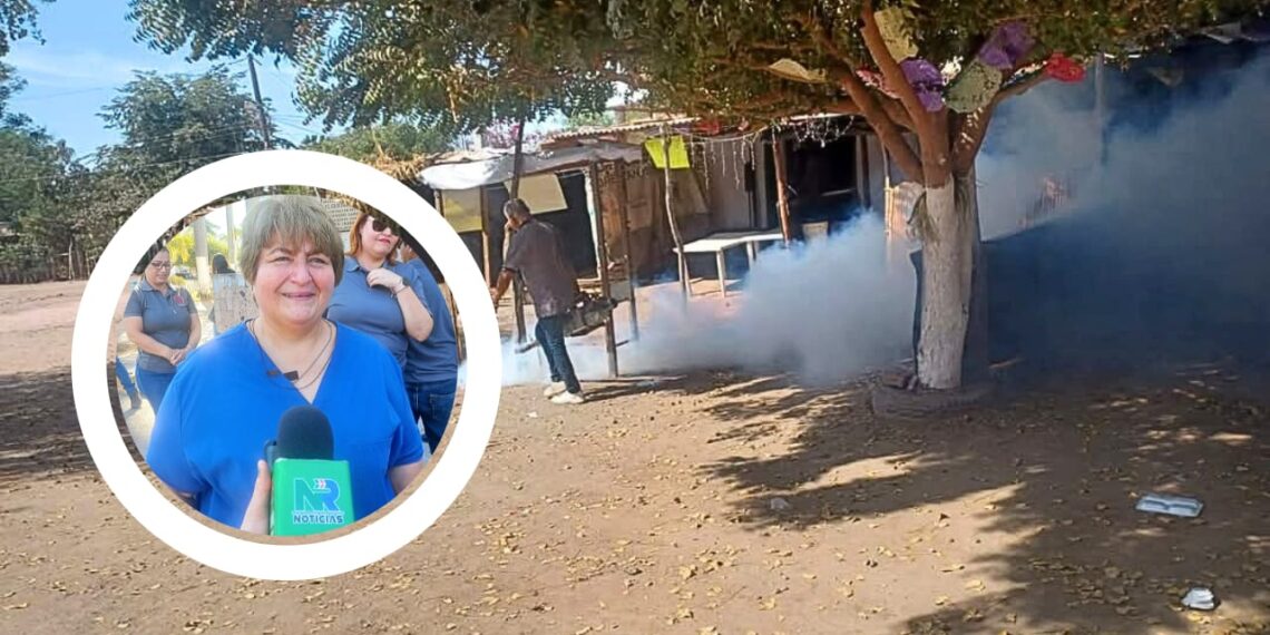 ¡Atención vecinos! Anuncian calendario de fumigación en colonias de Los Mochis – NR | NOTICIAS