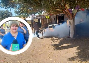 ¡Atención vecinos! Anuncian calendario de fumigación en colonias de Los Mochis – NR | NOTICIAS