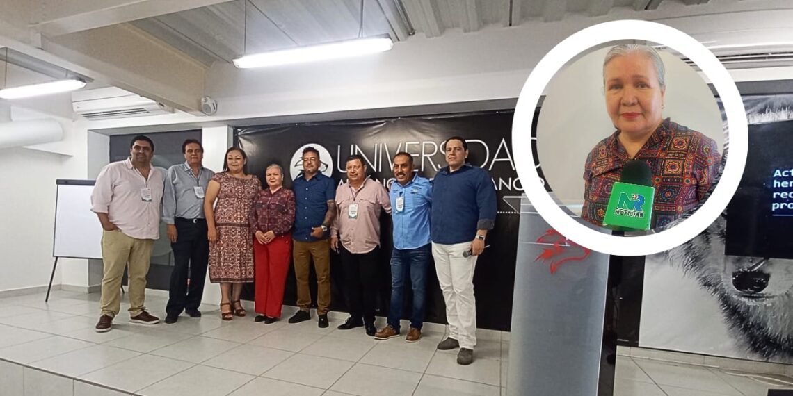 ¿Solo el 30% en regla? Centros de adicciones en Sinaloa buscan mejorar estrategias de atención – NR | NOTICIAS 