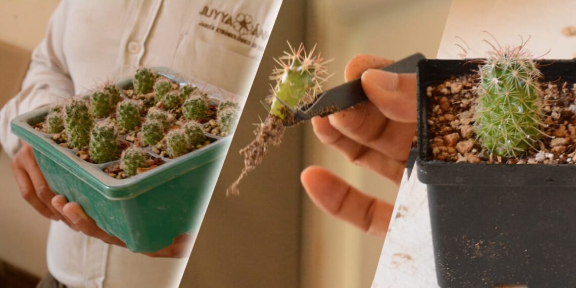 Jardín Botánico te invita al “Pabellón de la Biodiversidad”.