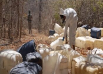 Aseguran 10 centros de almacenamiento de químicos para drogas en Cosalá y Culiacán