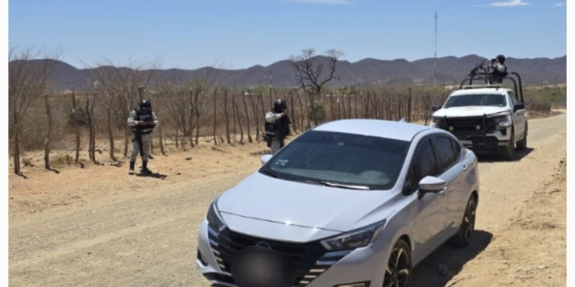 Aseguran vehículo, cartuchos y equipo táctico en operativo conjunto en El Fuerte