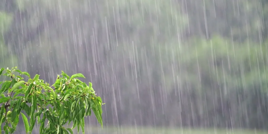 ¡Lluvias cerca! Monzón podría adelantarse, alertan expertos