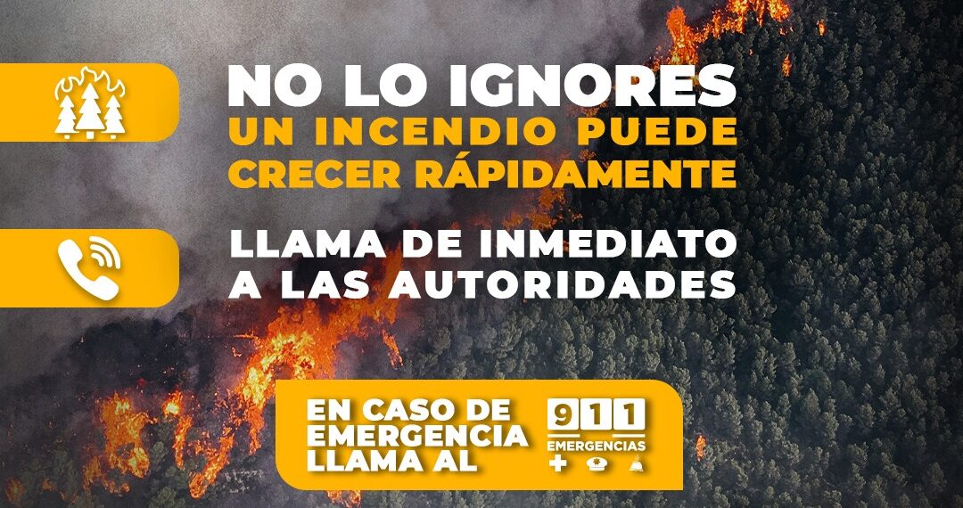 Llaman a la ciudadanía a prevenir incendios forestales en Sinaloa