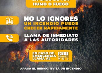 Llaman a la ciudadanía a prevenir incendios forestales en Sinaloa
