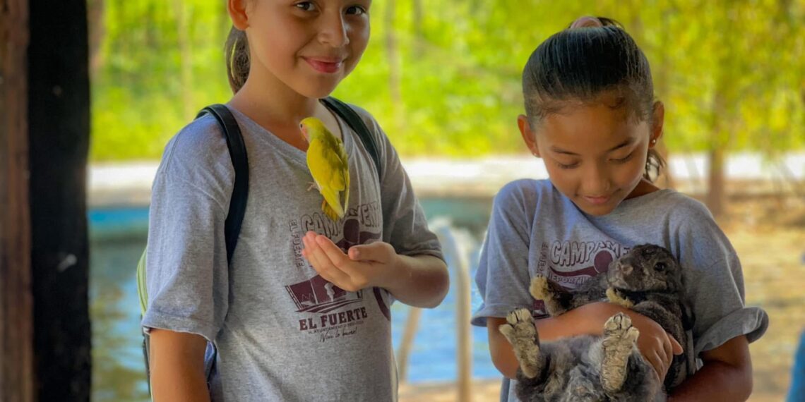 El Campamento de Verano 2025 en El Fuerte: gratuito y lleno de actividades