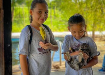 El Campamento de Verano 2025 en El Fuerte: gratuito y lleno de actividades