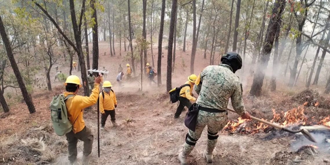 Se reactiva incendio forestal en San José de Llano, Badiraguato: Sebides