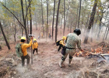 Se reactiva incendio forestal en San José de Llano, Badiraguato: Sebides