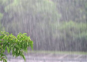Prevén lluvias en Sinaloa: llaman a gestión hídrica