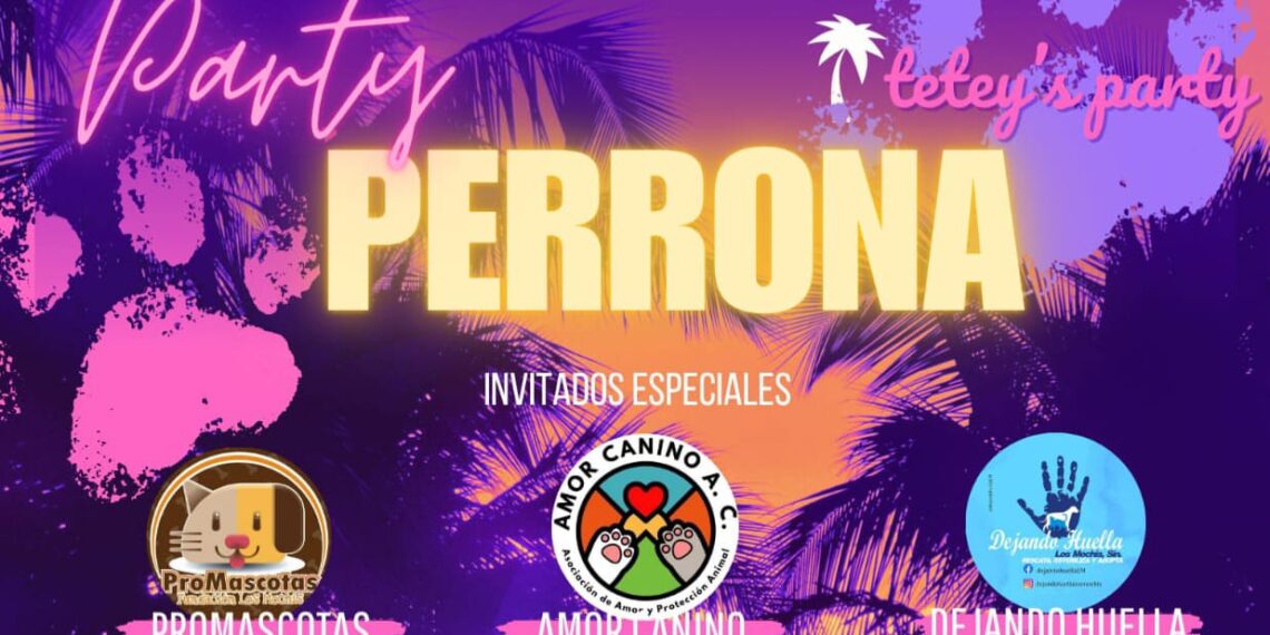 Los Mochis se llena de huellas: celebran fiesta de mascotas y adopciones este 8 de junio – NR | NOTICIAS