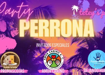 Los Mochis se llena de huellas: celebran fiesta de mascotas y adopciones este 8 de junio – NR | NOTICIAS