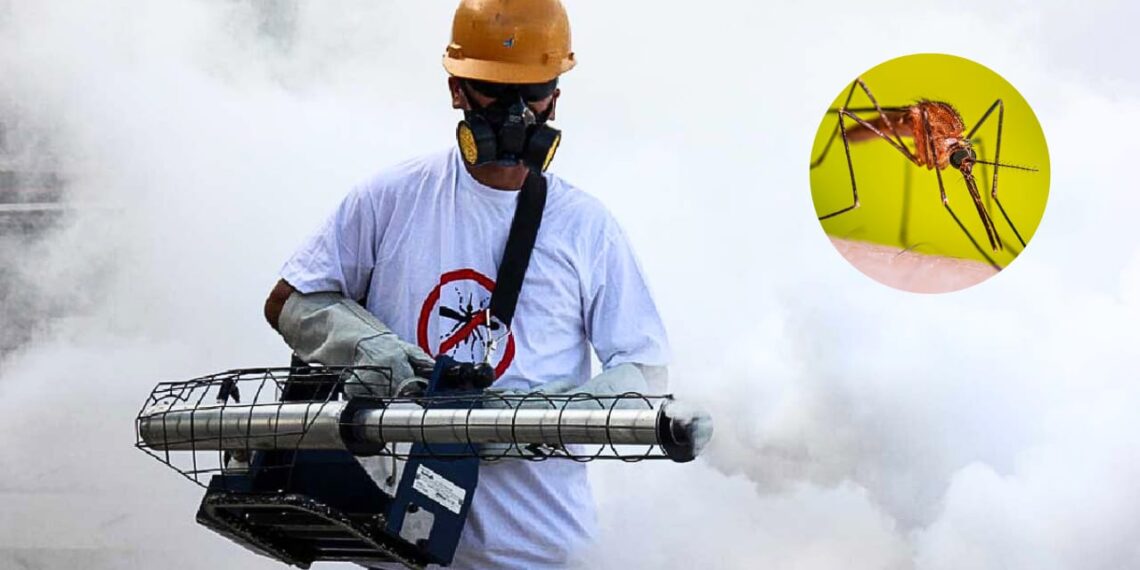 Estas son las colonias de Los Mochis que serán fumigadas esta semana – NR | NOTICIAS