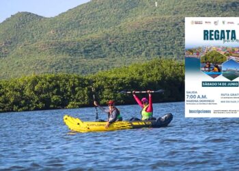 La bahía te espera: alistan regata gratuita rumbo a Islas Verdes – NR | NOTICIAS