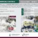 Depresión Tropical Cuatro-E se forma frente a Guerrero: podría convertirse en tormenta Dalila