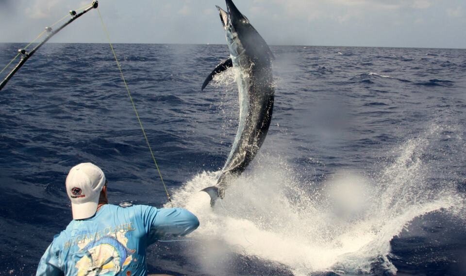 Anuncian el regreso del BIG GAME TOPOFEST 2025, el torneo de pesca más esperado en Topolobampo