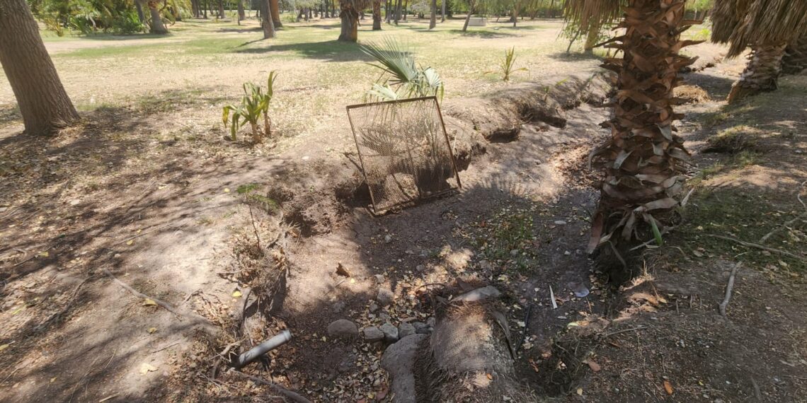 Canales del Parque Sinaloa lucen secos por la sequía; llaman a cuidar el agua – NR | NOTICIAS