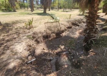 Canales del Parque Sinaloa lucen secos por la sequía; llaman a cuidar el agua – NR | NOTICIAS