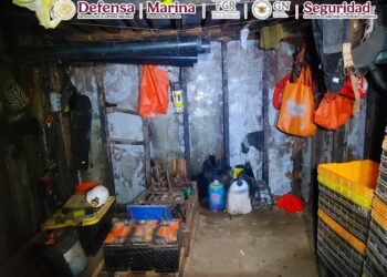 En Baja California, tras ejecutar una orden de cateo se inhabilitó un túnel que conectaba con Estados Unidos