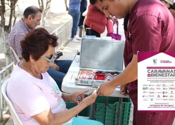 Brindarán consulta médica y esterilización de mascotas sin costo en Higuera de Zaragoza – NR | NOTICIAS