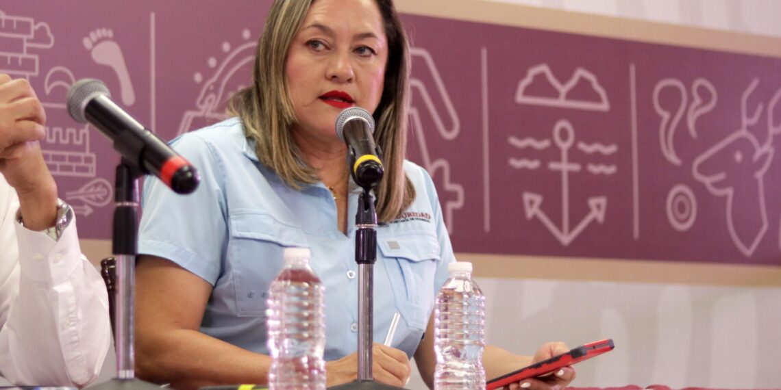 Autoridades detienen a 6 civiles, aseguran armamento y 14 vehículos en diversas acciones