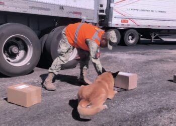 Aseguran droga en punto de revisión en ‘El Desengaño’