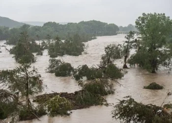 Sheinbaum lamenta muertes tras inundaciones en Texas; SRE atendió a 30 mexicanos afectados