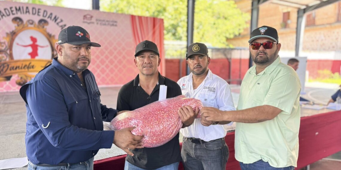 Entregan semilla de maíz y ajonjolí a productores agrícolas en El Fuerte