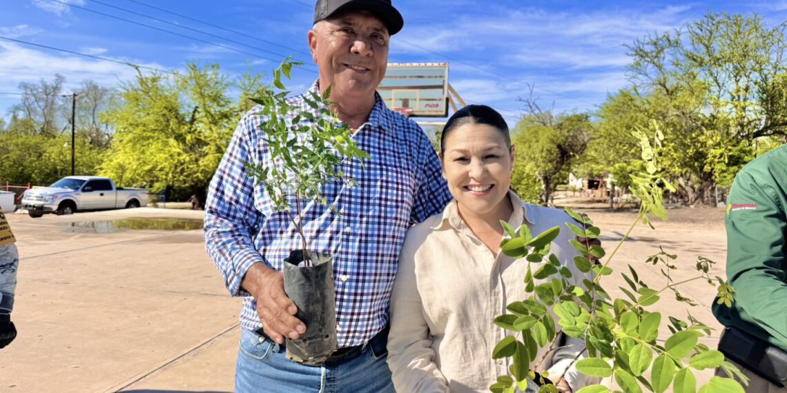 Realizan campaña de arborización en comunidades de El Fuerte y Choix como parte de las Jornadas por la Paz