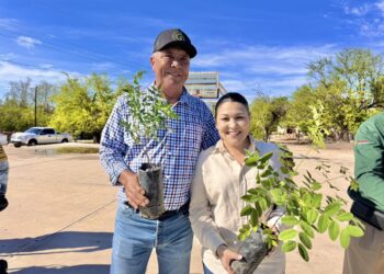 Realizan campaña de arborización en comunidades de El Fuerte y Choix como parte de las Jornadas por la Paz