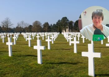 ¿Cementerio para mascotas en Ahome? Esto responde la Directora de Salud