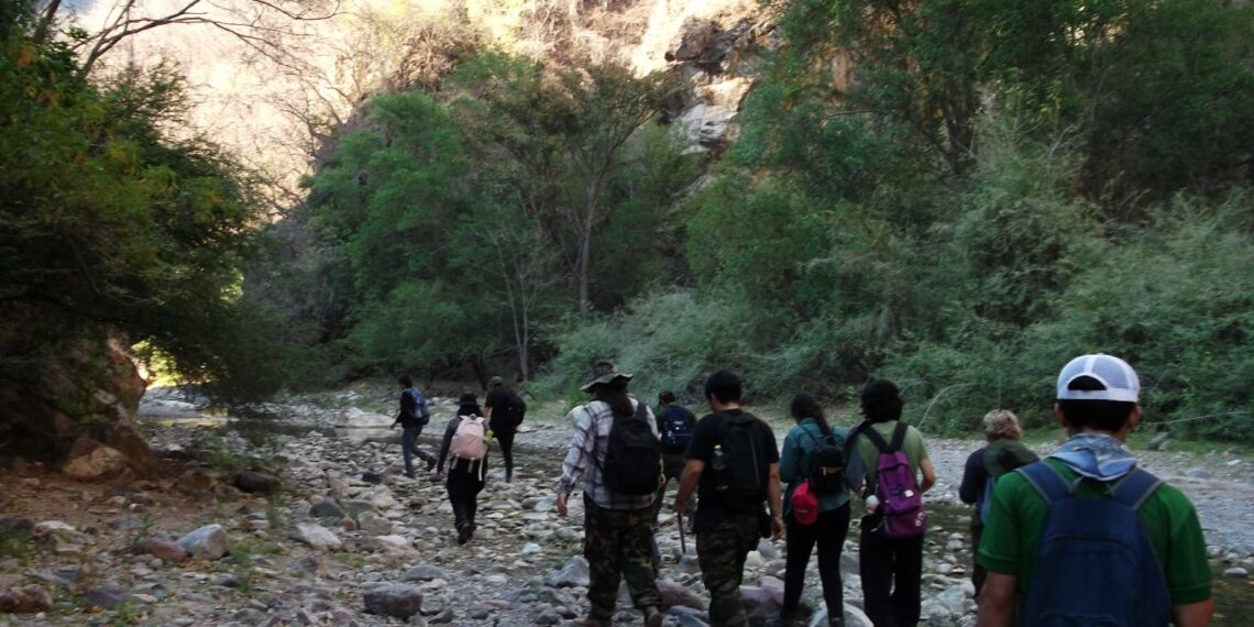 Durante las prácticas de campo, alumno de Biología de la UAS descubre nueva especie en Sinaloa; se trata del género Allacrotelsa