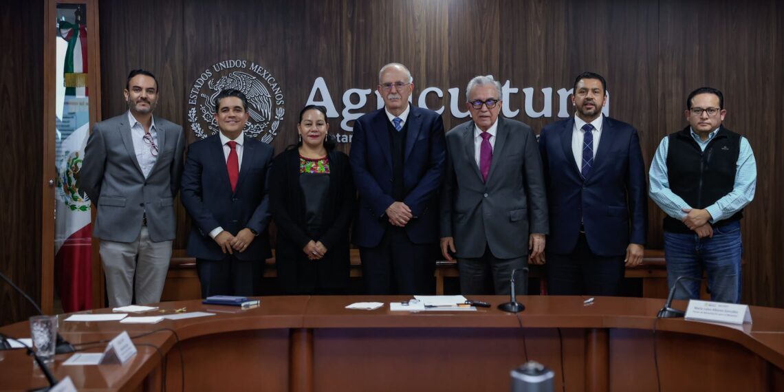 Anuncia AGRICULTURA las medidas acordadas con la empresa MASECA para activar la comercialización de maíz en Sinaloa
