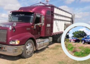 Higuera de Zaragoza: muere joven al recibir descarga eléctrica en empaque agrícola