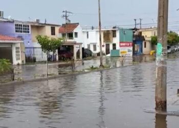 Vecinos de la colonia Infonavit Macapule reportan inundaciones tras lluvias en Los Mochis – NR | NOTICIAS