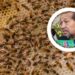 Más de 100 picaduras: menor sufre ataque de abejas en Cohuibampo – NR | NOTICIAS