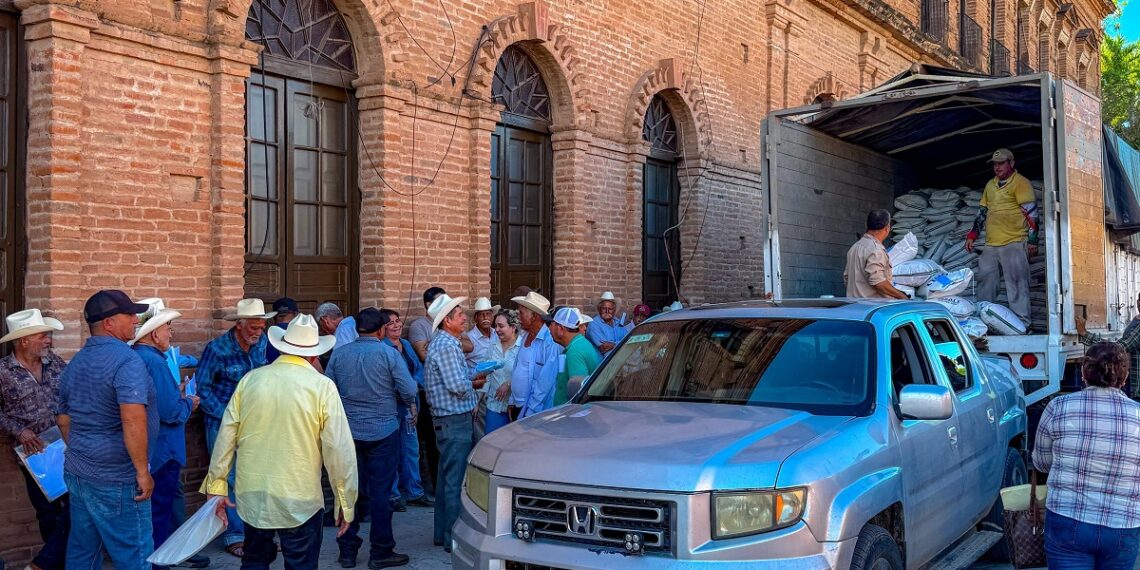 Secretaria de Agricultura y Ganadería entrega más de 500 sacos de semilla a productores locales de El Fuerte