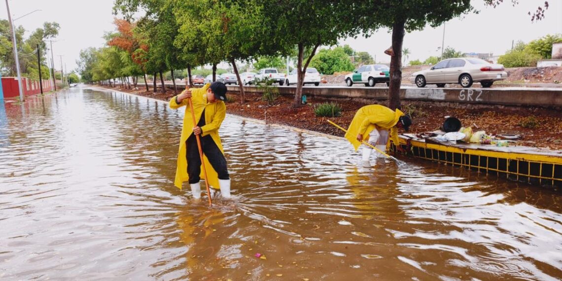 ”Dependecias trabajan en unidad para que no haya grandes afectaciones por lluvias”; Antonio Menéndez