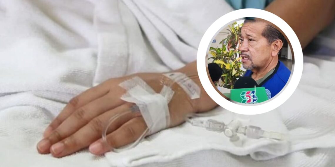 Muere menor atacado por abejas en Cohuibampo; recibió más de 100 picaduras – NR | NOTICIAS