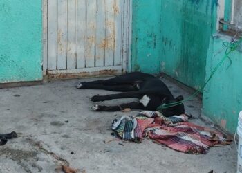 Atado con un alambre y bajo el sol: perro muere por golpe de calor en Los Mochis – NR | NOTICIAS