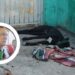 Perro muere amarrado bajo el sol en Villas Monterrey; alcalde llama a la empatía y espera respuesta de Fiscalía – NR | NOTICIAS