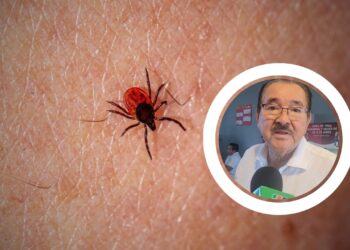 Llaman a prevenir la rickettsiosis con higiene y cuidado animal – NR | NOTICIAS