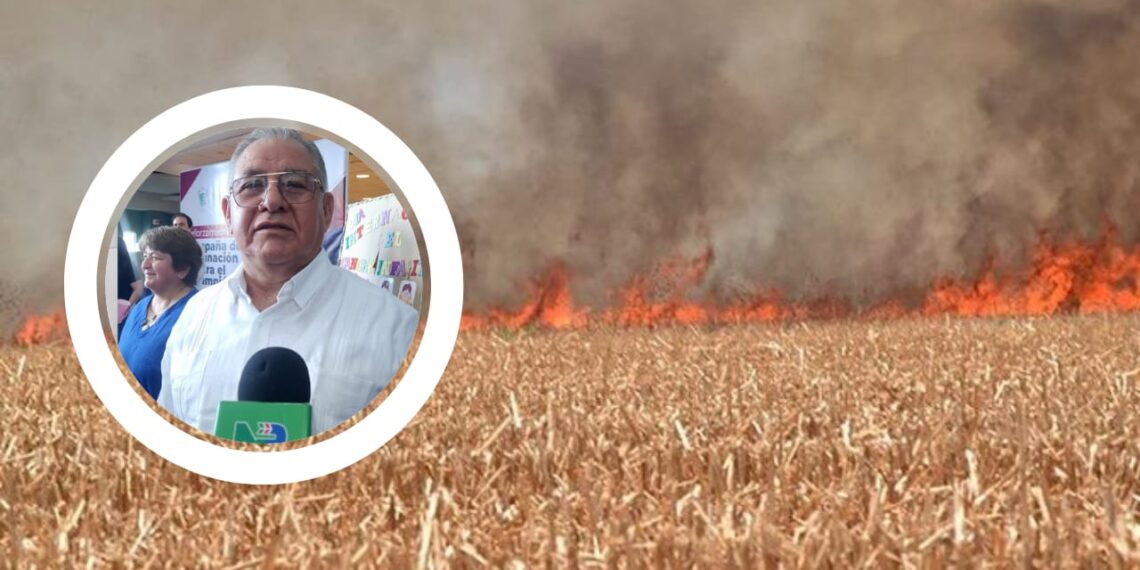 ¡Quema de soca bajo la lupa! Municipio analiza sanciones – NR | NOTICIAS