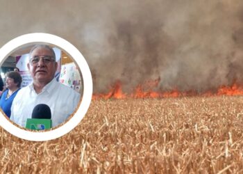 ¡Quema de soca bajo la lupa! Municipio analiza sanciones – NR | NOTICIAS