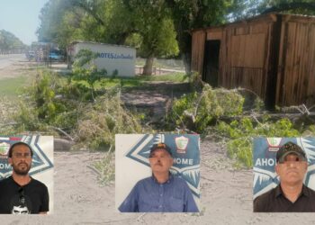 Detienen a tres sujetos en Los Mochis por quemar y cortar un árbol