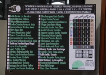 Aprueban creación de Regidor Defensor de los Animales en los municipios de Sinaloa